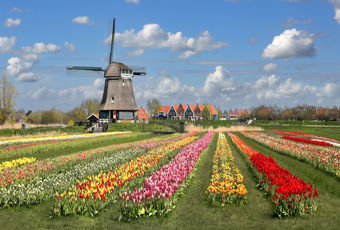 0E6A1369 Kevin (003)