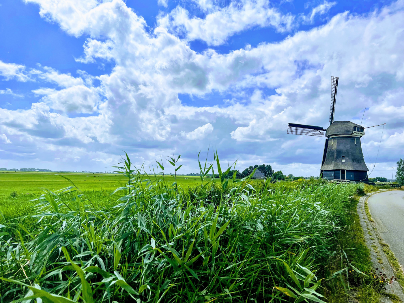 Molen (2)