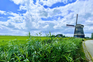 Molen
